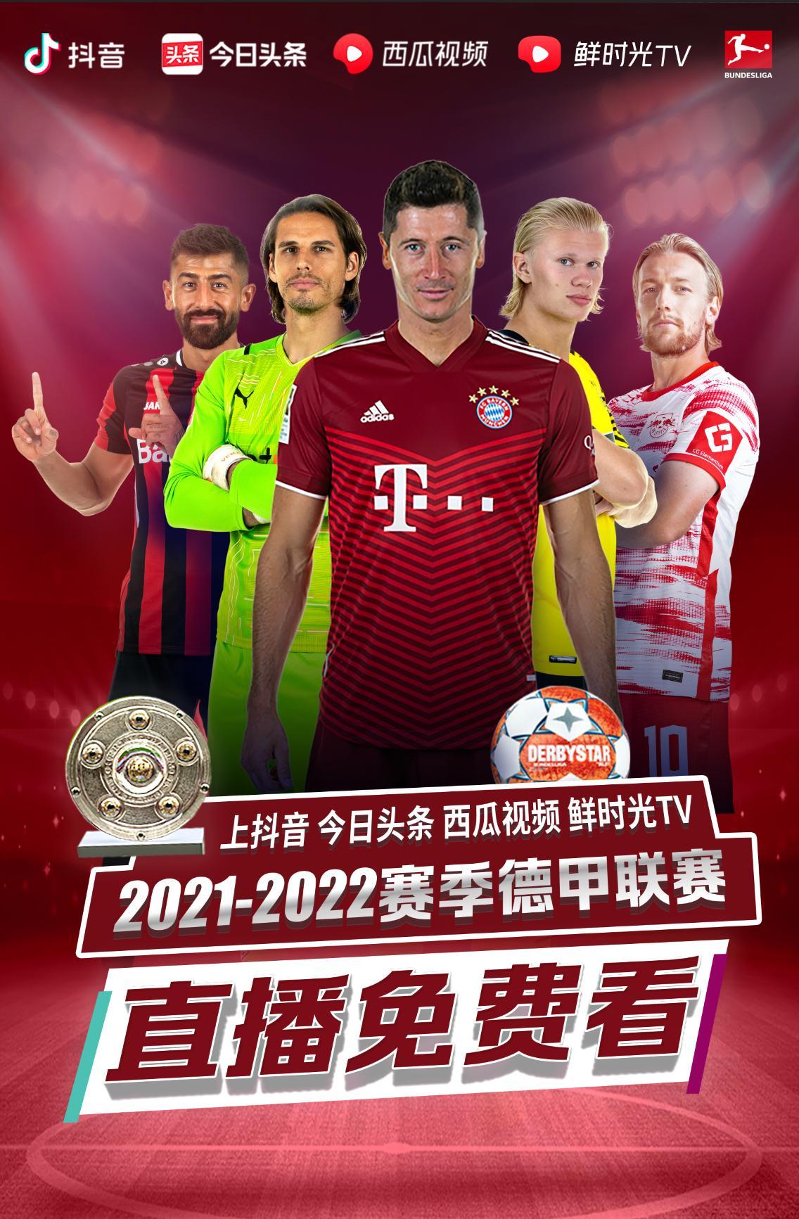 引入布鲁